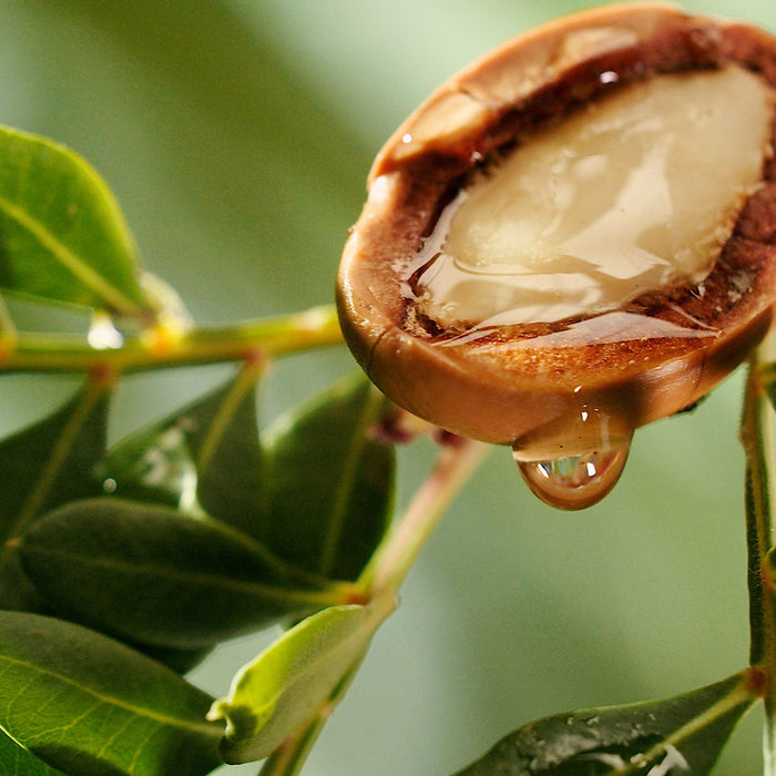 Are Seed Oils in Skincare Harming Your Skin and Causing Premature Aging?